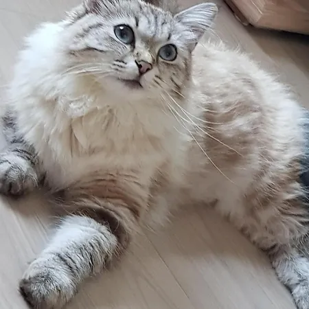 Museum Lust Auf Zuhause Ferien In Der Provinz Apartment Herford