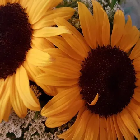 Apartment Museum Lust Auf Zuhause Ferien In Der Provinz Herford