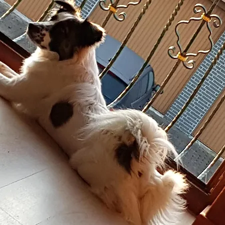 Apartment Museum Lust Auf Zuhause Ferien In Der Provinz *