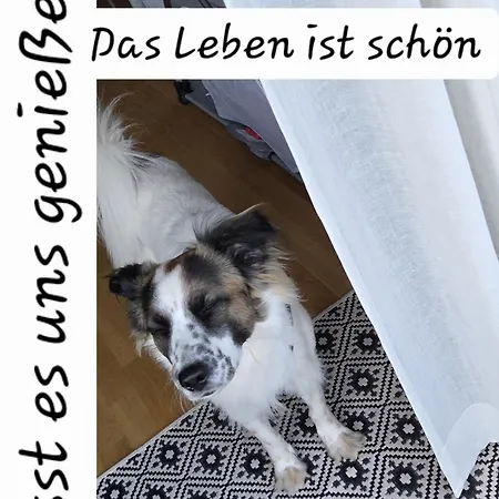 Museum Lust Auf Zuhause Ferien In Der Provinz *