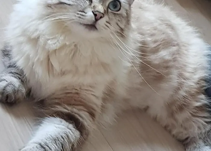 Museum Lust Auf Zuhause Ferien In Der Provinz Appartement Herford