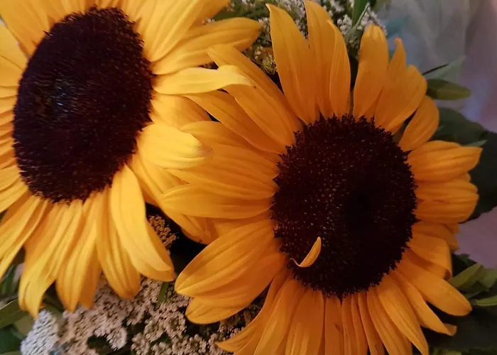 Appartement Museum Lust Auf Zuhause Ferien In Der Provinz Herford