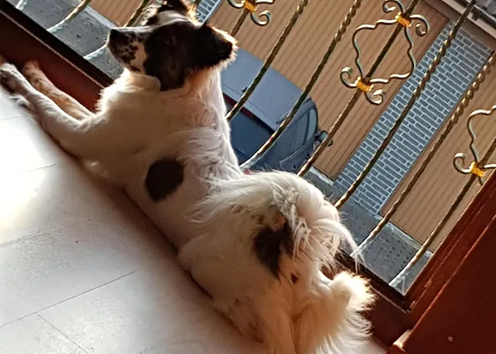 Appartement Museum Lust Auf Zuhause Ferien In Der Provinz *