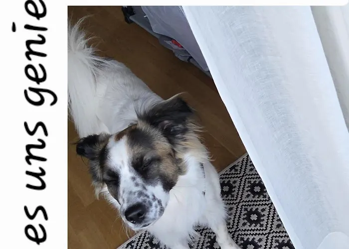 Museum Lust Auf Zuhause Ferien In Der Provinz *